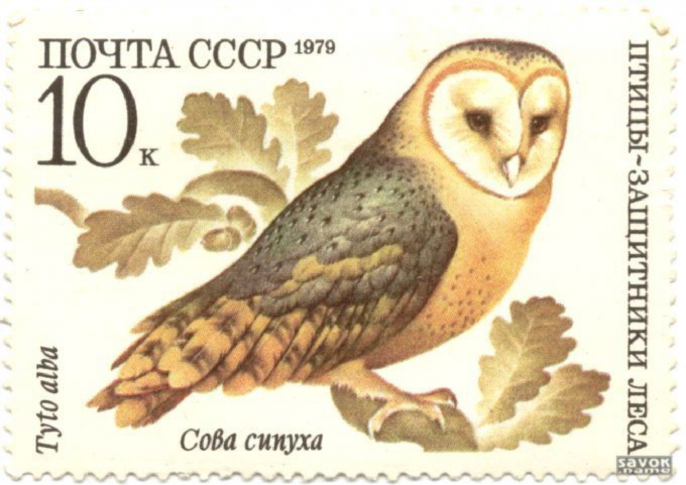 Марка – ваше все Марка – ваше все