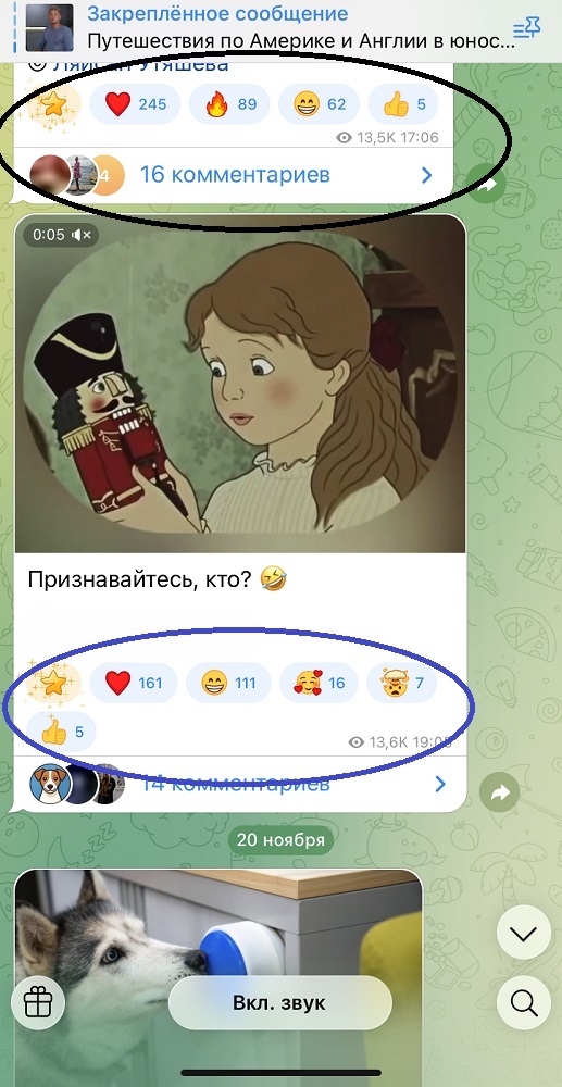 купить реакции в тгк купить реакции в тгк