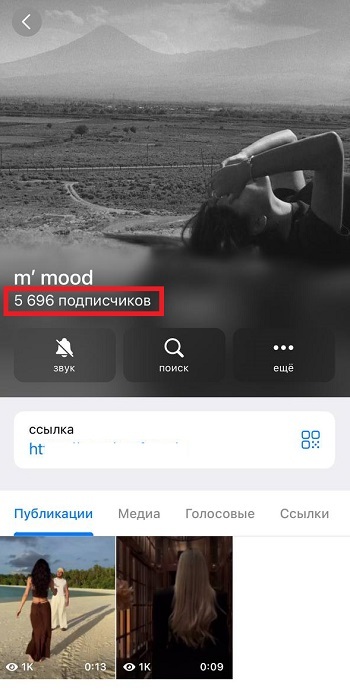накрутка подписчиков телеграм бесплатно
