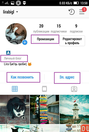 Шапка профиля в Instagram – что написать, исходя из вида аккаунта