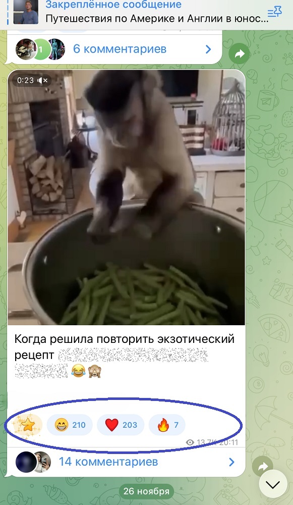 купить реакции в телеграм канале купить реакции в телеграм канале