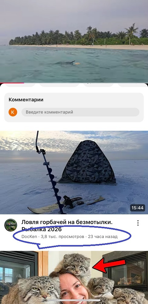 накрутка ютуб просмотров