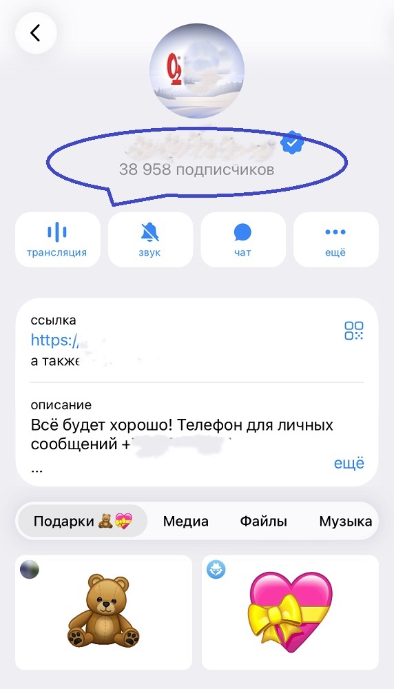 купить раскрутку тг канала