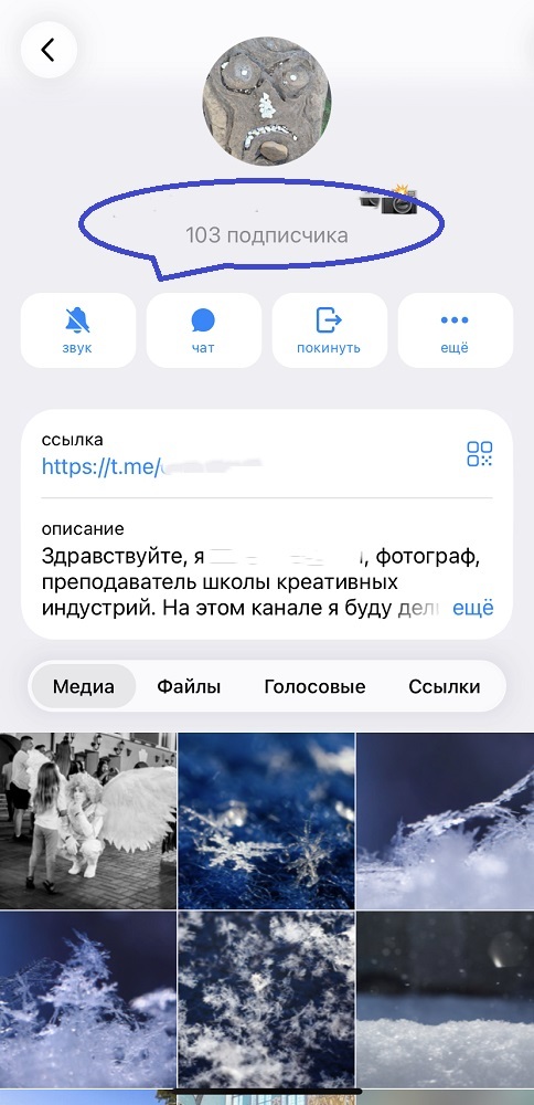 накрутка подписчиков бесплатно телеграм