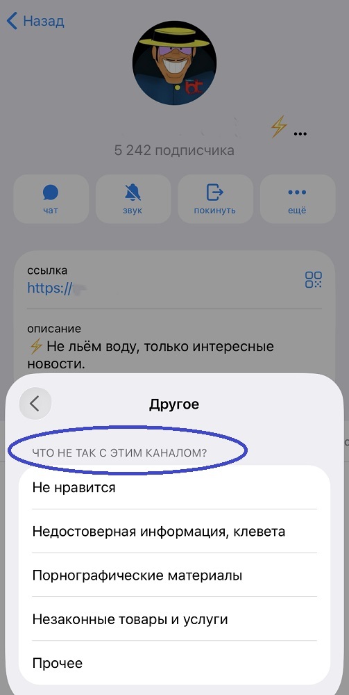 купить жалобы в тг