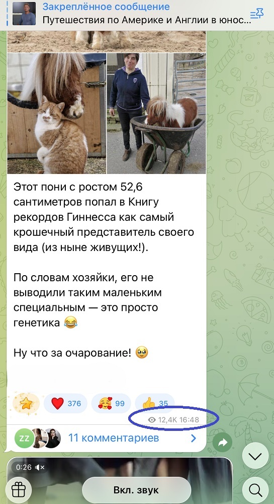 купить просмотры телеграм