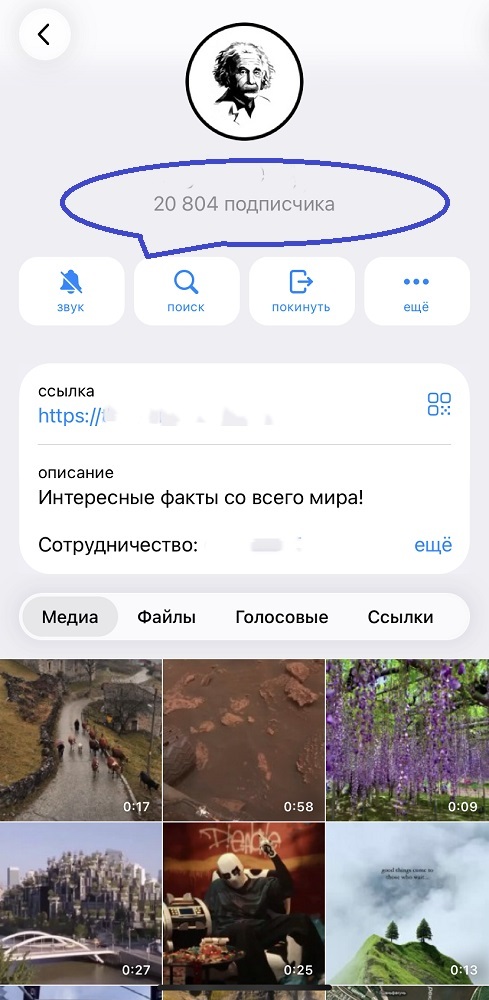 дешёвая раскрутка телеграм канала