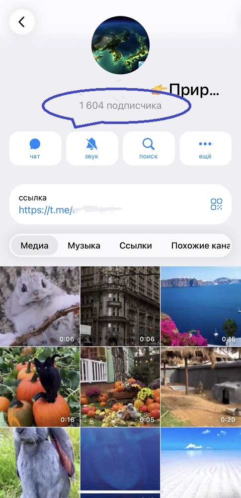 накрутка телеграм бесплатно живых подписчиков