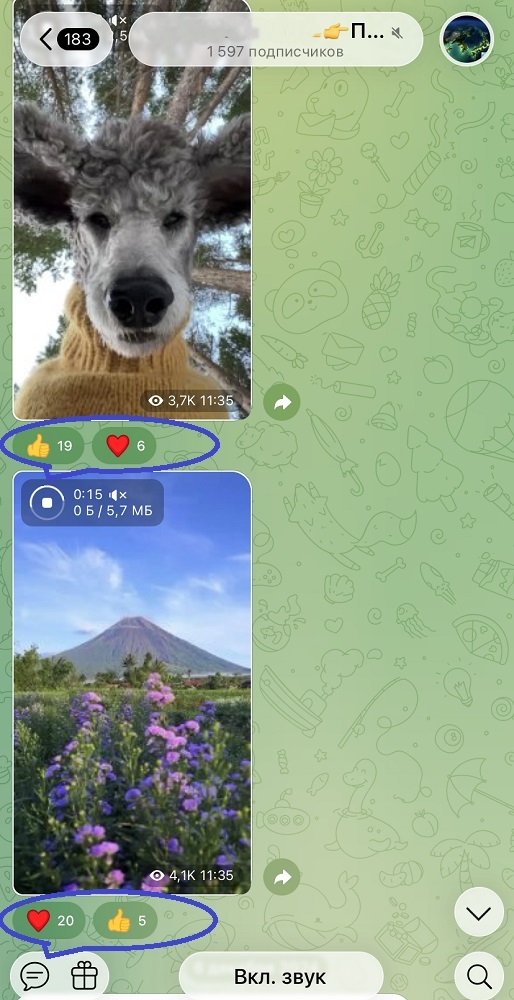 накрутка реакций тг канал бесплатно накрутка реакций тг канал бесплатно