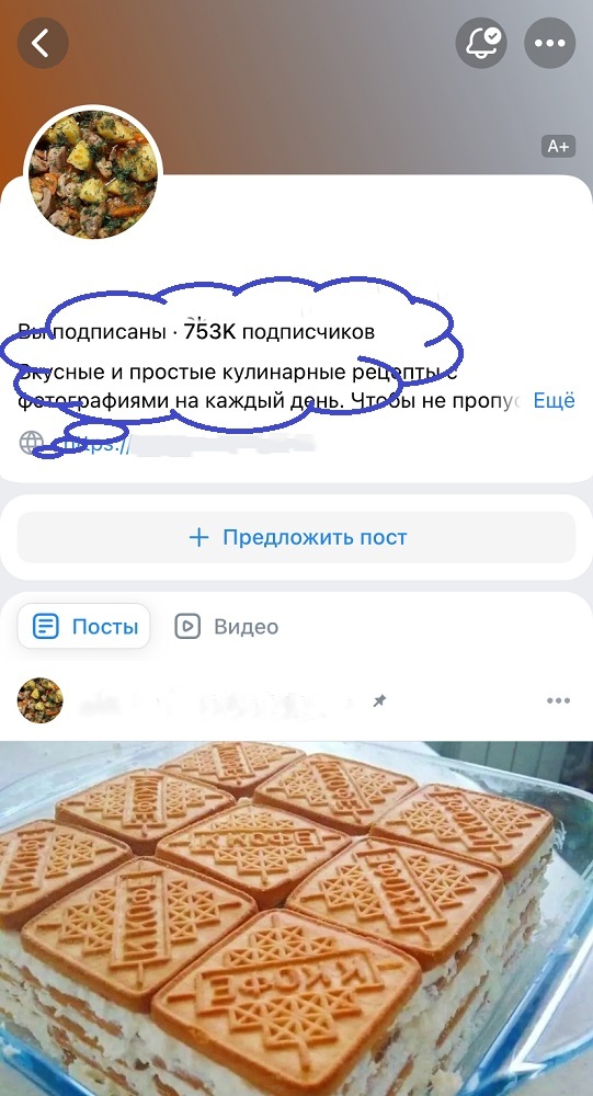 программы для накрутки вк подписчиков