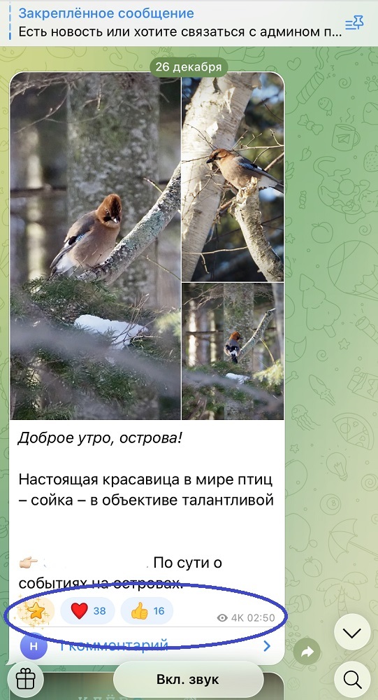 дешевые звёзды телеграм дешевые звёзды телеграм