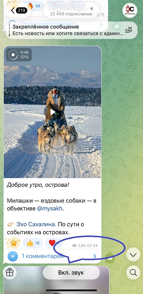 накрутить просмотры в тгк