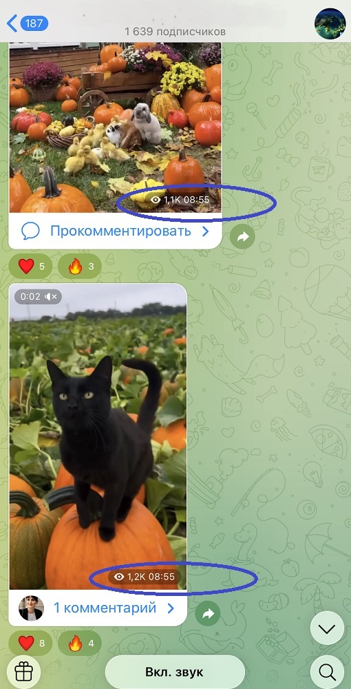 накрутить просмотры на пост в тг накрутить просмотры на пост в тг