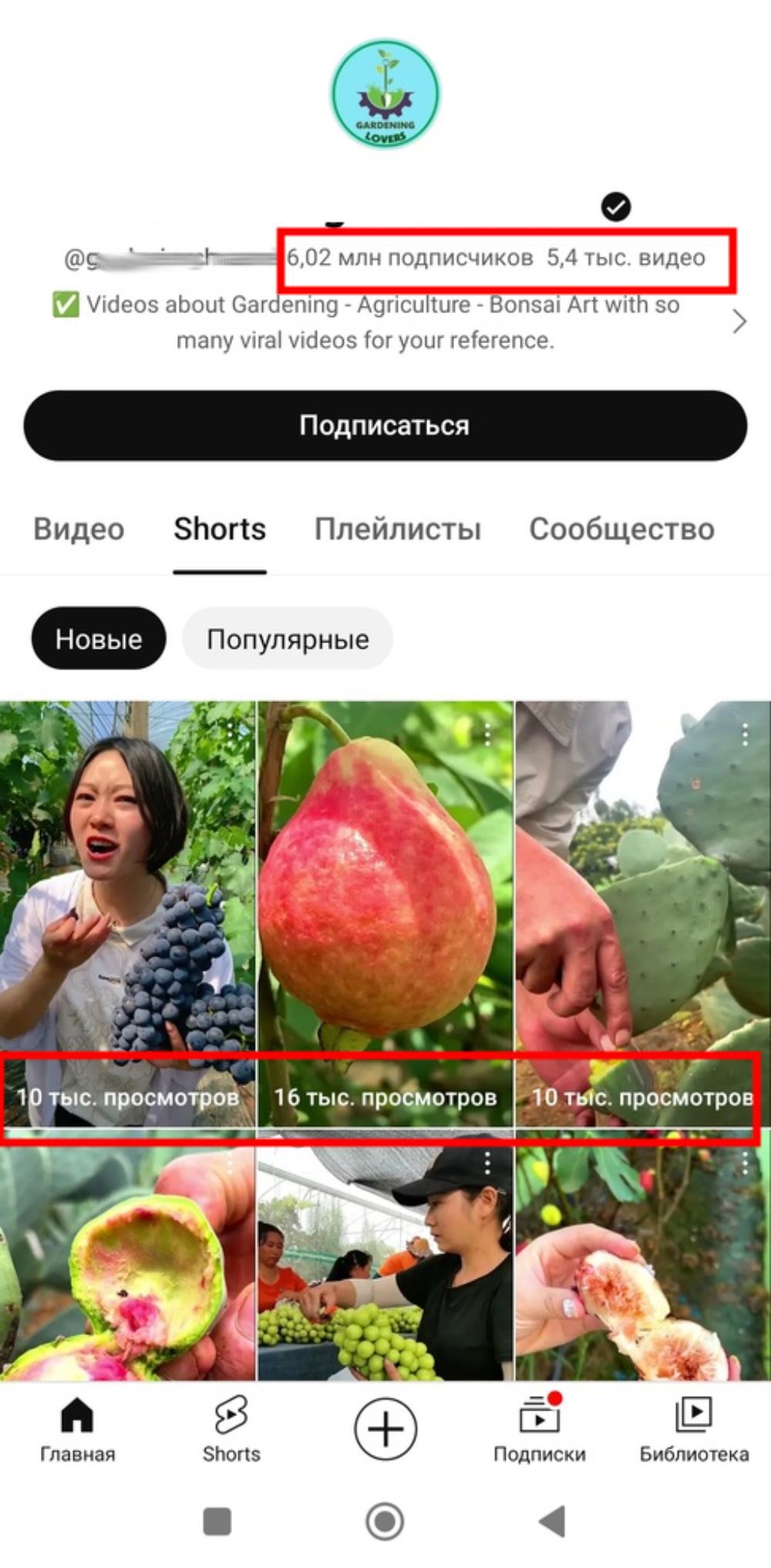 100 1000 подписчиков ютуб