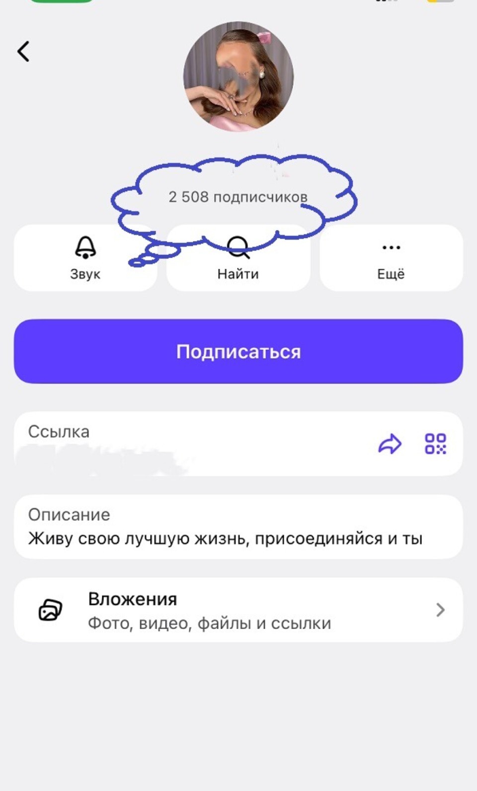 накрутка подписчиков макс