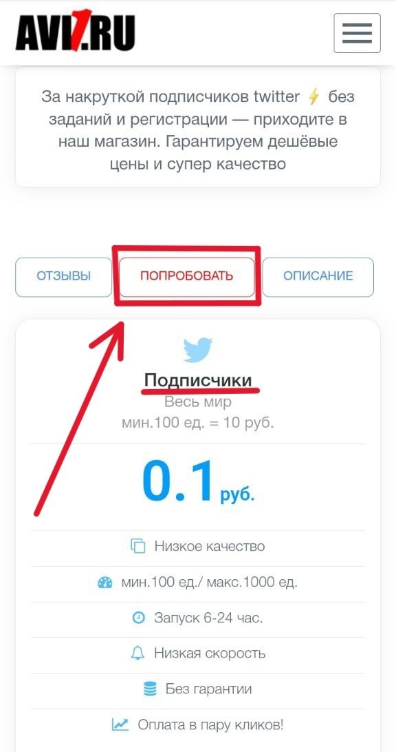 накрутка 1000 подписчиков твиттер